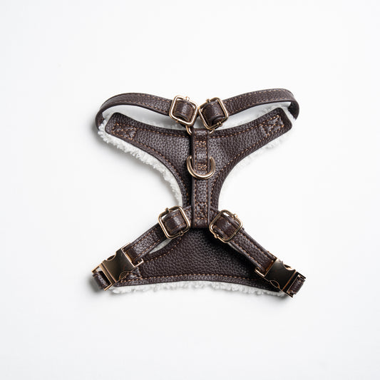 Dulce Teddy Harness