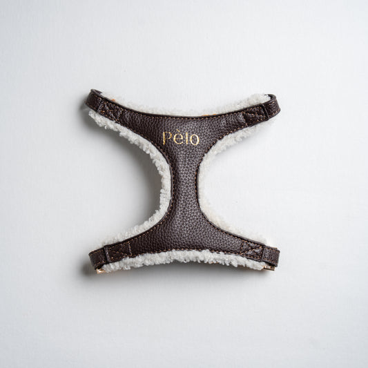 Dulce Teddy Harness